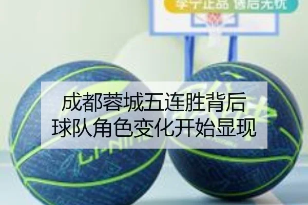 成都蓉城五连胜背后 球队角色变化开始显现