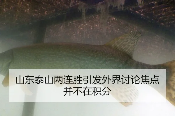 山东泰山两连胜引发外界讨论焦点并不在积分